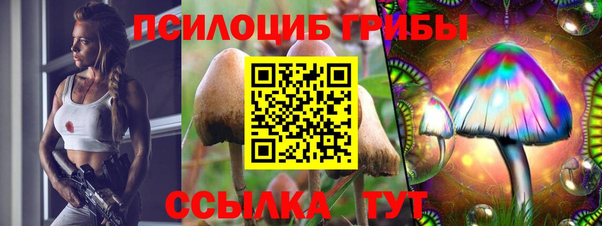 Миасс  Псилоцибиновые грибы ЛСД  Вход с VPN 